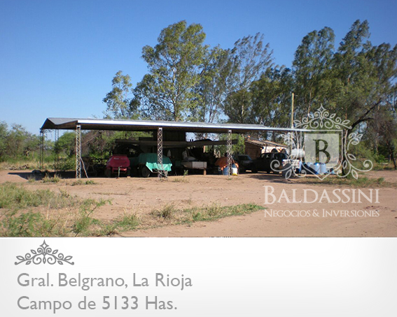 CAMPO GANADERO 5133 HAS. EN NEPES, GRAL. BELGRANO, LA RIOJA . CAMPO ARMADO. SE VENDE A TRANQUERA CERRADA. - 10
