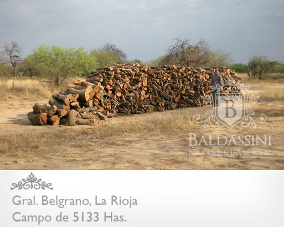 CAMPO GANADERO 5133 HAS. EN NEPES, GRAL. BELGRANO, LA RIOJA . CAMPO ARMADO. SE VENDE A TRANQUERA CERRADA. - 11