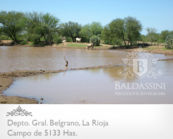 CAMPO GANADERO 5133 HAS. EN NEPES, GRAL. BELGRANO, LA RIOJA . CAMPO ARMADO. SE VENDE A TRANQUERA CERRADA. - 12