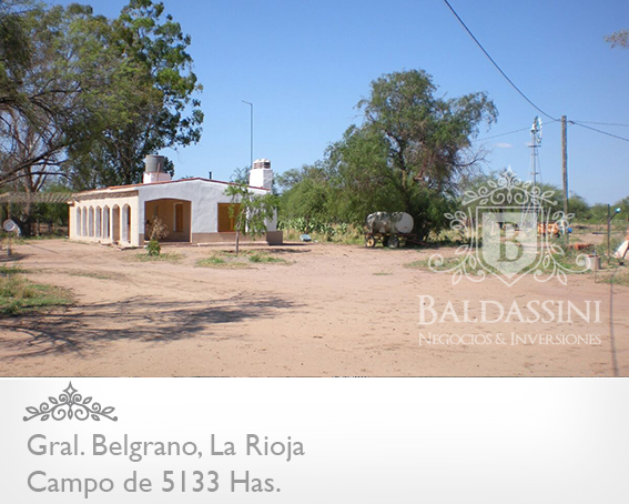 CAMPO GANADERO 5133 HAS. EN NEPES, GRAL. BELGRANO, LA RIOJA . CAMPO ARMADO. SE VENDE A TRANQUERA CERRADA. - 14