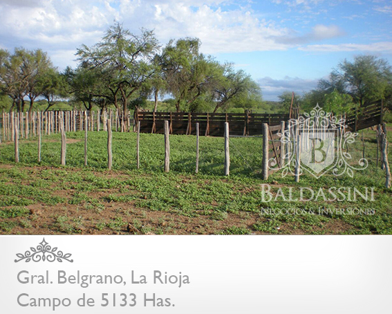 CAMPO GANADERO 5133 HAS. EN NEPES, GRAL. BELGRANO, LA RIOJA . CAMPO ARMADO. SE VENDE A TRANQUERA CERRADA. - 15