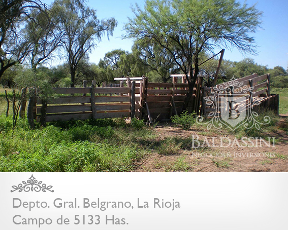 CAMPO GANADERO 5133 HAS. EN NEPES, GRAL. BELGRANO, LA RIOJA . CAMPO ARMADO. SE VENDE A TRANQUERA CERRADA. - 17