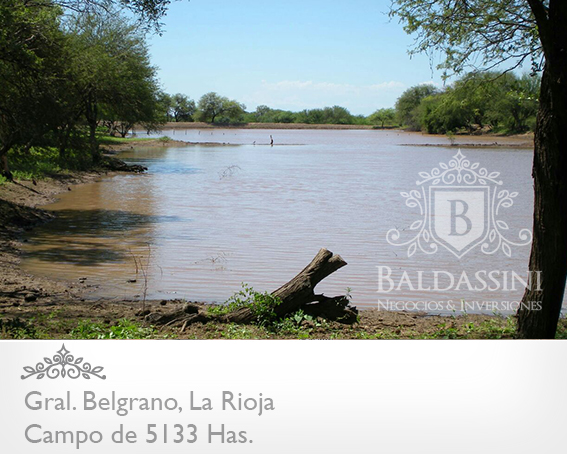 CAMPO GANADERO 5133 HAS. EN NEPES, GRAL. BELGRANO, LA RIOJA . CAMPO ARMADO. SE VENDE A TRANQUERA CERRADA. - 18