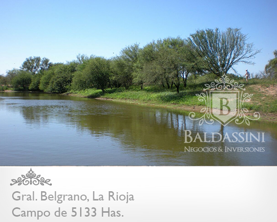 CAMPO GANADERO 5133 HAS. EN NEPES, GRAL. BELGRANO, LA RIOJA . CAMPO ARMADO. SE VENDE A TRANQUERA CERRADA. - 20