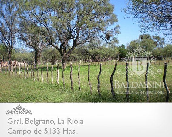 CAMPO GANADERO 5133 HAS. EN NEPES, GRAL. BELGRANO, LA RIOJA . CAMPO ARMADO. SE VENDE A TRANQUERA CERRADA. - 21