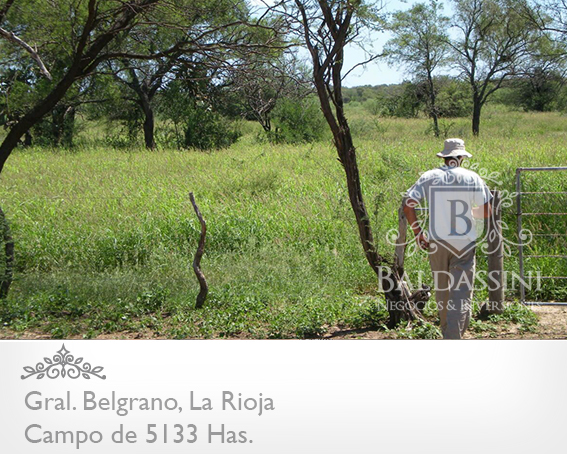 CAMPO GANADERO 5133 HAS. EN NEPES, GRAL. BELGRANO, LA RIOJA . CAMPO ARMADO. SE VENDE A TRANQUERA CERRADA. - 22