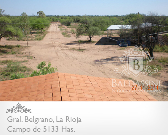 CAMPO GANADERO 5133 HAS. EN NEPES, GRAL. BELGRANO, LA RIOJA . CAMPO ARMADO. SE VENDE A TRANQUERA CERRADA. - 23