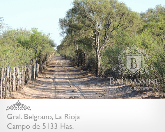 CAMPO GANADERO 5133 HAS. EN NEPES, GRAL. BELGRANO, LA RIOJA . CAMPO ARMADO. SE VENDE A TRANQUERA CERRADA. - 24