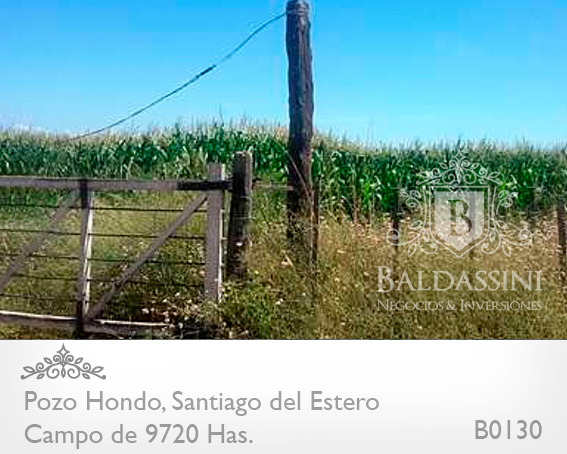 SE VENDE CAMPO MIXTO DE 9720 HECTÁREAS A TRANQUERA CERRADA EN POZO HONDO, SANTIAGO DEL ESTERO. ESCRITURAS PERFECTAS / 2058 U$S LA HA. CON VARIEDAD DE ACTIVOS DENTRO DEL CAMPO - MAQUINARIA - GANADO - 2