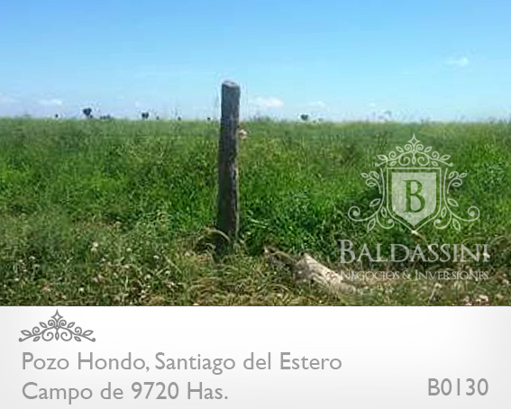 SE VENDE CAMPO MIXTO DE 9720 HECTÁREAS A TRANQUERA CERRADA EN POZO HONDO, SANTIAGO DEL ESTERO. ESCRITURAS PERFECTAS / 2058 U$S LA HA. CON VARIEDAD DE ACTIVOS DENTRO DEL CAMPO - MAQUINARIA - GANADO - 3