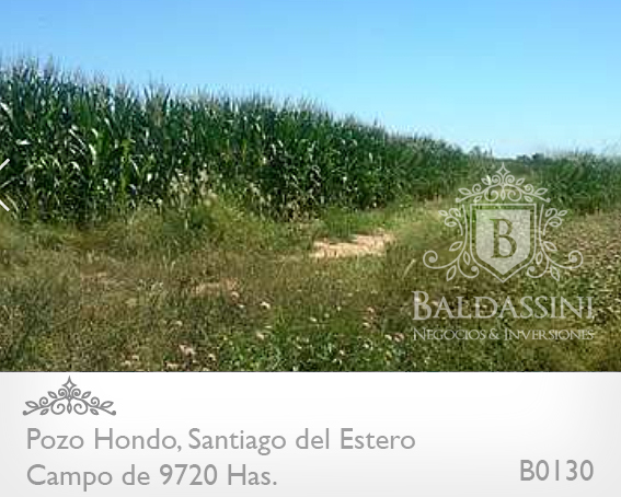 SE VENDE CAMPO MIXTO DE 9720 HECTÁREAS A TRANQUERA CERRADA EN POZO HONDO, SANTIAGO DEL ESTERO. ESCRITURAS PERFECTAS / 2058 U$S LA HA. CON VARIEDAD DE ACTIVOS DENTRO DEL CAMPO - MAQUINARIA - GANADO - 4