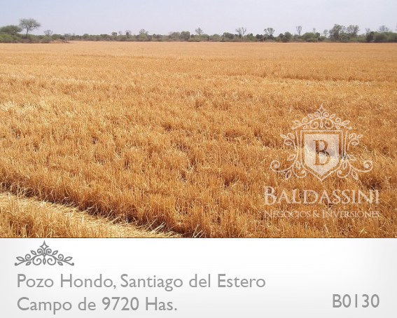 SE VENDE CAMPO MIXTO DE 9720 HECTÁREAS A TRANQUERA CERRADA EN POZO HONDO, SANTIAGO DEL ESTERO. ESCRITURAS PERFECTAS / 2058 U$S LA HA. CON VARIEDAD DE ACTIVOS DENTRO DEL CAMPO - MAQUINARIA - GANADO - 5
