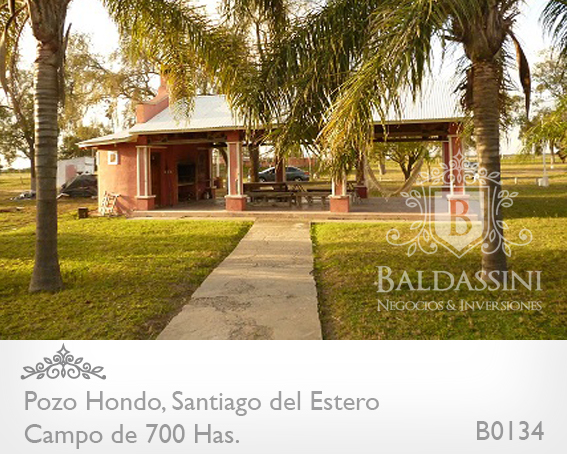 690 HECTÁREAS EN POZO HONDO - SANTIAGO DEL ESTERO SOBRE RUTA 34 (AMBOS LADOS) - EN PLENA PRODUCCIÓN - CAMPO TOTALMENTE DESMONTADO - PARCELA SOBRE LA RUTA 34 IDEAL ESTACIÓN DE SERVICIO. - 2