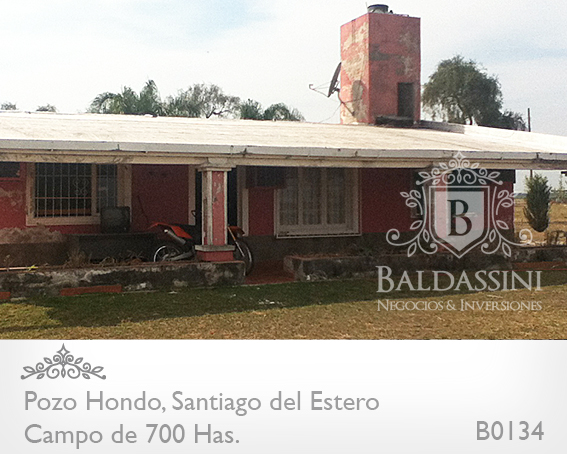690 HECTÁREAS EN POZO HONDO - SANTIAGO DEL ESTERO SOBRE RUTA 34 (AMBOS LADOS) - EN PLENA PRODUCCIÓN - CAMPO TOTALMENTE DESMONTADO - PARCELA SOBRE LA RUTA 34 IDEAL ESTACIÓN DE SERVICIO. - 3