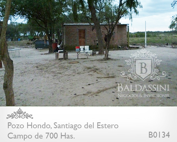 690 HECTÁREAS EN POZO HONDO - SANTIAGO DEL ESTERO SOBRE RUTA 34 (AMBOS LADOS) - EN PLENA PRODUCCIÓN - CAMPO TOTALMENTE DESMONTADO - PARCELA SOBRE LA RUTA 34 IDEAL ESTACIÓN DE SERVICIO. - 6