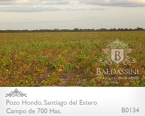 690 HECTÁREAS EN POZO HONDO - SANTIAGO DEL ESTERO SOBRE RUTA 34 (AMBOS LADOS) - EN PLENA PRODUCCIÓN - CAMPO TOTALMENTE DESMONTADO - PARCELA SOBRE LA RUTA 34 IDEAL ESTACIÓN DE SERVICIO. - 8