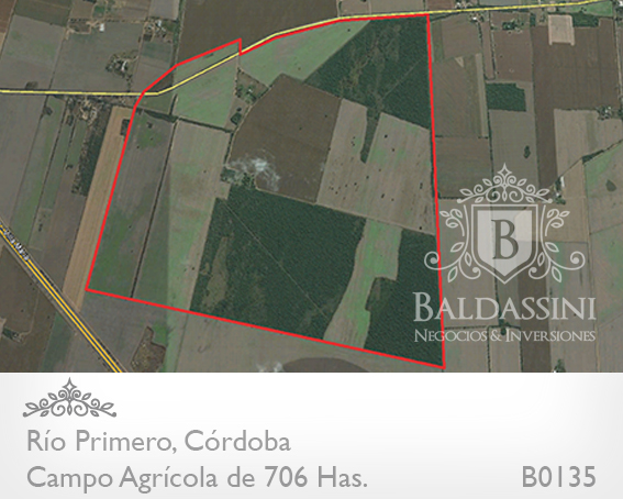 CAMPO AGRÍCOLA DE 703 HAS. A 3 KM DEL AUTOPISTA CÓRDOBA-ROSARIO. ACCESO ASFALTADO / TOTALMENTE ALAMBRADO / - 1