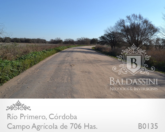 CAMPO DE 706 HAS. AGRÍCOLA CON CASCO DE ESTANCIA Y MUCHAS MEJORAS. CAMPO EN UN 75% DESMONTADO Y EN PRODUCCIÓN - MOLINO - ESTANQUE - ESCRITURADO - ALAMBRADO - 3