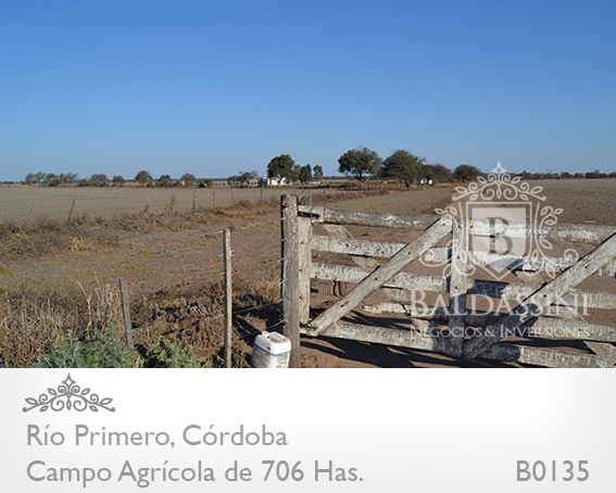 CAMPO DE 706 HAS. AGRÍCOLA CON CASCO DE ESTANCIA Y MUCHAS MEJORAS. CAMPO EN UN 75% DESMONTADO Y EN PRODUCCIÓN - MOLINO - ESTANQUE - ESCRITURADO - ALAMBRADO - 4