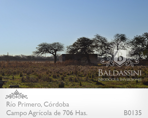 CAMPO DE 706 HAS. AGRÍCOLA CON CASCO DE ESTANCIA Y MUCHAS MEJORAS. CAMPO EN UN 75% DESMONTADO Y EN PRODUCCIÓN - MOLINO - ESTANQUE - ESCRITURADO - ALAMBRADO - 7