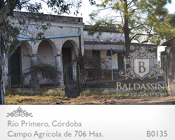 CAMPO DE 706 HAS. AGRÍCOLA CON CASCO DE ESTANCIA Y MUCHAS MEJORAS. CAMPO EN UN 75% DESMONTADO Y EN PRODUCCIÓN - MOLINO - ESTANQUE - ESCRITURADO - ALAMBRADO - 8