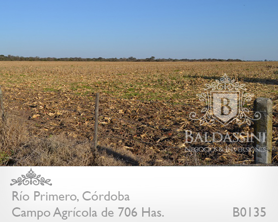CAMPO DE 706 HAS. AGRÍCOLA CON CASCO DE ESTANCIA Y MUCHAS MEJORAS. CAMPO EN UN 75% DESMONTADO Y EN PRODUCCIÓN - MOLINO - ESTANQUE - ESCRITURADO - ALAMBRADO - 9