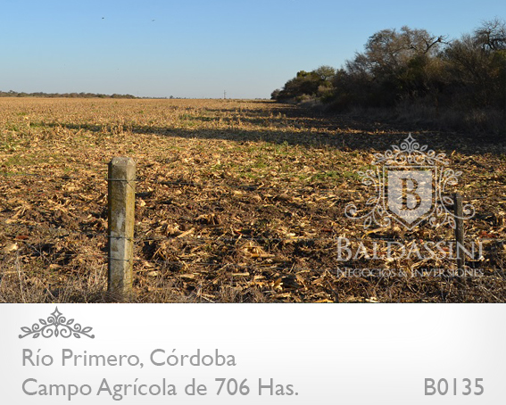 CAMPO DE 706 HAS. AGRÍCOLA CON CASCO DE ESTANCIA Y MUCHAS MEJORAS. CAMPO EN UN 75% DESMONTADO Y EN PRODUCCIÓN - MOLINO - ESTANQUE - ESCRITURADO - ALAMBRADO - 10