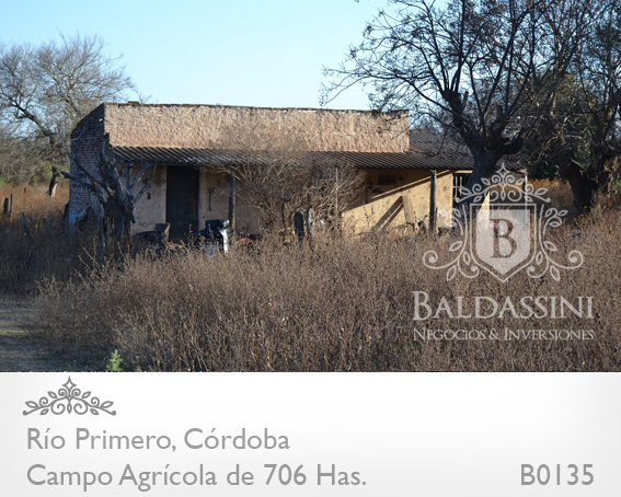 CAMPO DE 706 HAS. AGRÍCOLA CON CASCO DE ESTANCIA Y MUCHAS MEJORAS. CAMPO EN UN 75% DESMONTADO Y EN PRODUCCIÓN - MOLINO - ESTANQUE - ESCRITURADO - ALAMBRADO - 11
