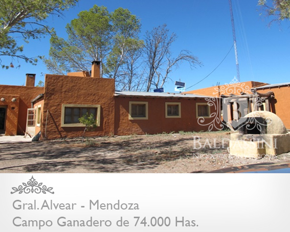 Mendoza - 74.000 Hectáreas ganaderas en Mendoza, en el límite con La Pampa. Luz Eléctrica - Instalaciones Ganaderas - Casa Principal y de Encargado/Puesteros. Para 7000 vientres - 2