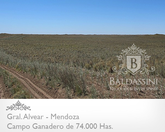 Mendoza - 74.000 Hectáreas ganaderas en Mendoza, en el límite con La Pampa. Luz Eléctrica - Instalaciones Ganaderas - Casa Principal y de Encargado/Puesteros. Para 7000 vientres - 3