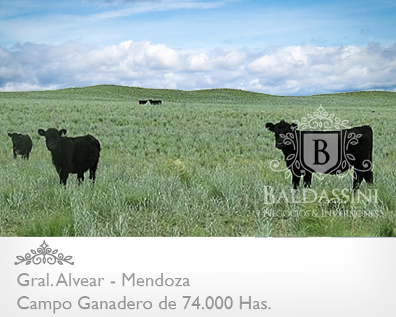 Mendoza - 74.000 Hectáreas ganaderas en Mendoza, en el límite con La Pampa. Luz Eléctrica - Instalaciones Ganaderas - Casa Principal y de Encargado/Puesteros. Para 7000 vientres - 5