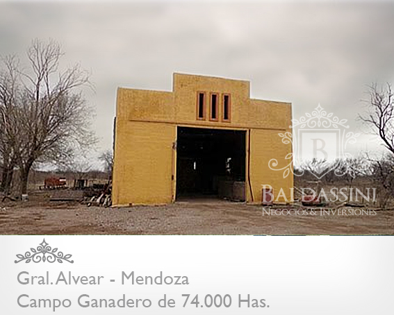 Mendoza - 74.000 Hectáreas ganaderas en Mendoza, en el límite con La Pampa. Luz Eléctrica - Instalaciones Ganaderas - Casa Principal y de Encargado/Puesteros. Para 7000 vientres - 6