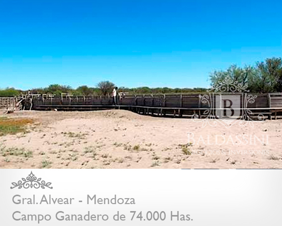 Mendoza - 74.000 Hectáreas ganaderas en Mendoza, en el límite con La Pampa. Luz Eléctrica - Instalaciones Ganaderas - Casa Principal y de Encargado/Puesteros. Para 7000 vientres - 7