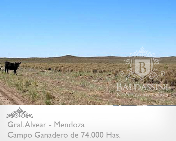 Mendoza - 74.000 Hectáreas ganaderas en Mendoza, en el límite con La Pampa. Luz Eléctrica - Instalaciones Ganaderas - Casa Principal y de Encargado/Puesteros. Para 7000 vientres - 8