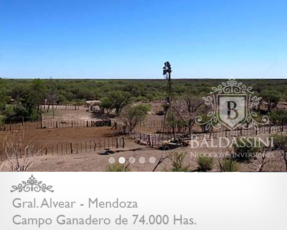 Mendoza - 74.000 Hectáreas ganaderas en Mendoza, en el límite con La Pampa. Luz Eléctrica - Instalaciones Ganaderas - Casa Principal y de Encargado/Puesteros. Para 7000 vientres - 9