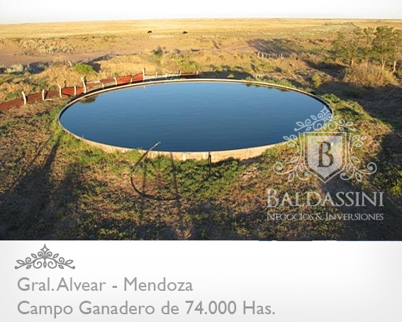 Mendoza - 74.000 Hectáreas ganaderas en Mendoza, en el límite con La Pampa. Luz Eléctrica - Instalaciones Ganaderas - Casa Principal y de Encargado/Puesteros. Para 7000 vientres - 11