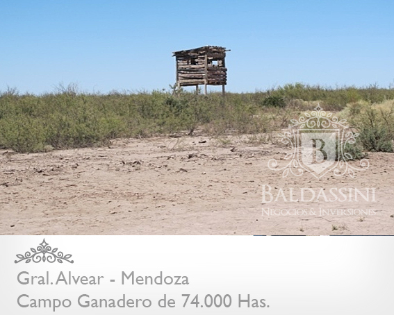 Mendoza - 74.000 Hectáreas ganaderas en Mendoza, en el límite con La Pampa. Luz Eléctrica - Instalaciones Ganaderas - Casa Principal y de Encargado/Puesteros. Para 7000 vientres - 12
