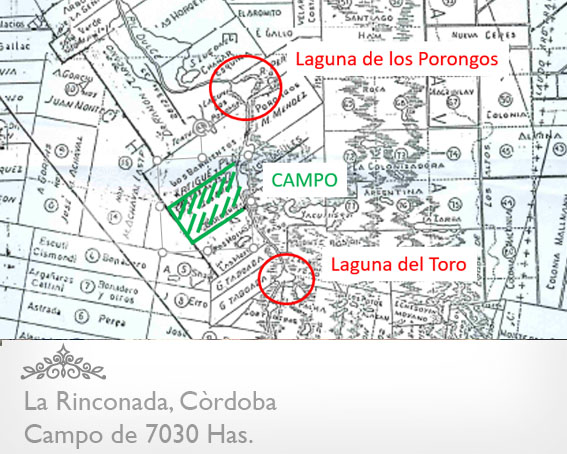 CAMPO DE 7030 HAS. EN LA RINCONADA - CÓRDOBA - CAMPO PARA ARMAR - OPORTUNIDAD! - 1