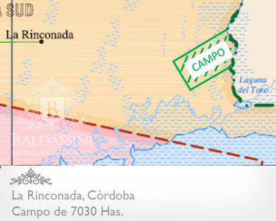 CAMPO DE 7030 HAS. EN LA RINCONADA - CÓRDOBA - CAMPO PARA ARMAR - OPORTUNIDAD! - 2