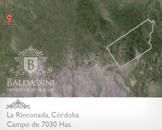 CAMPO DE 7030 HAS. EN LA RINCONADA - CÓRDOBA - CAMPO PARA ARMAR - OPORTUNIDAD! - 3