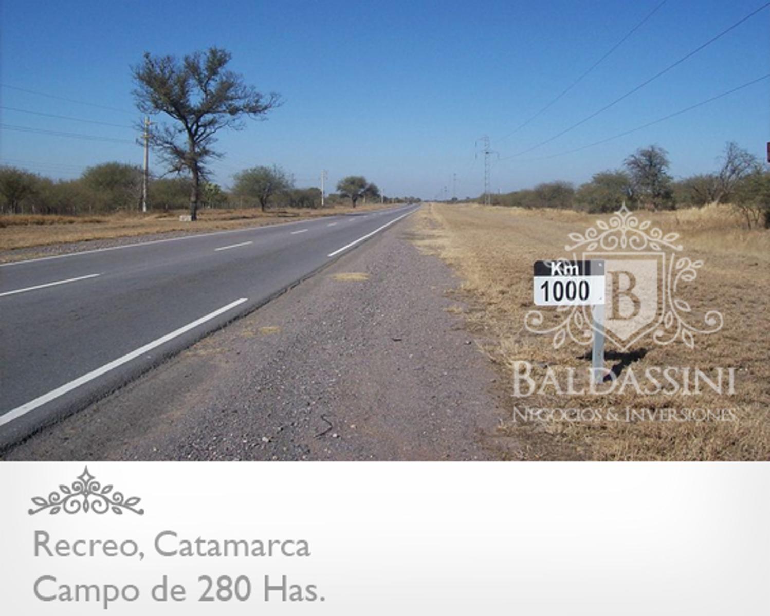CAMPO DE 280 HAS EN RECREO, CATAMARCA. CAMPO CON LÍNEAS DE TENSIÓN ELÉCTRICA IDESL PARA PROYECTO DE ENERGÍA SOLAR. SOBRE RUTA 157 - 1