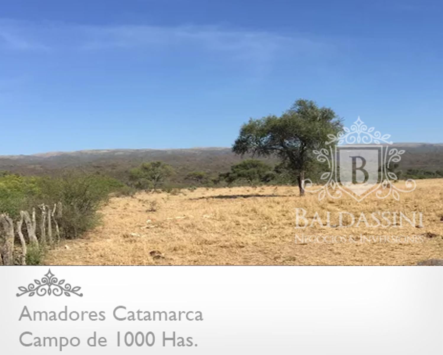 CAMPO DE 1000 HAS. EN AMADORES, CATAMARCA - IDEAL PARA EMPRESA DE ENERGÍA ELÉCTRICA. - 2