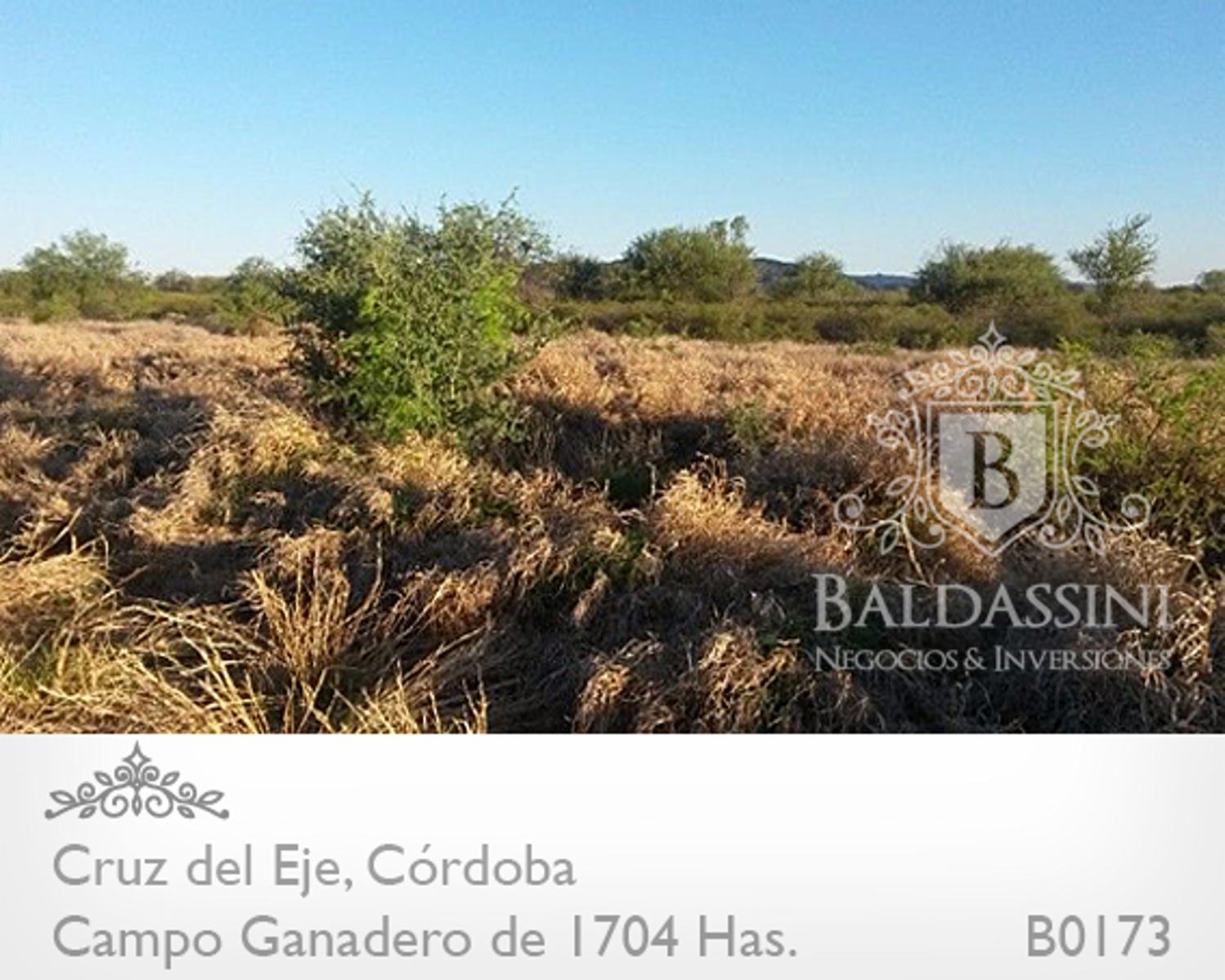 CAMPO GANADERO DE 1704 HAS EN SERREZUELA, CRUZ DEL EJE, CÓRDOBA COMPLETAMENTE ARMADO. PEGADO AL PUEBLO SOBRE RUTA 38. - 2