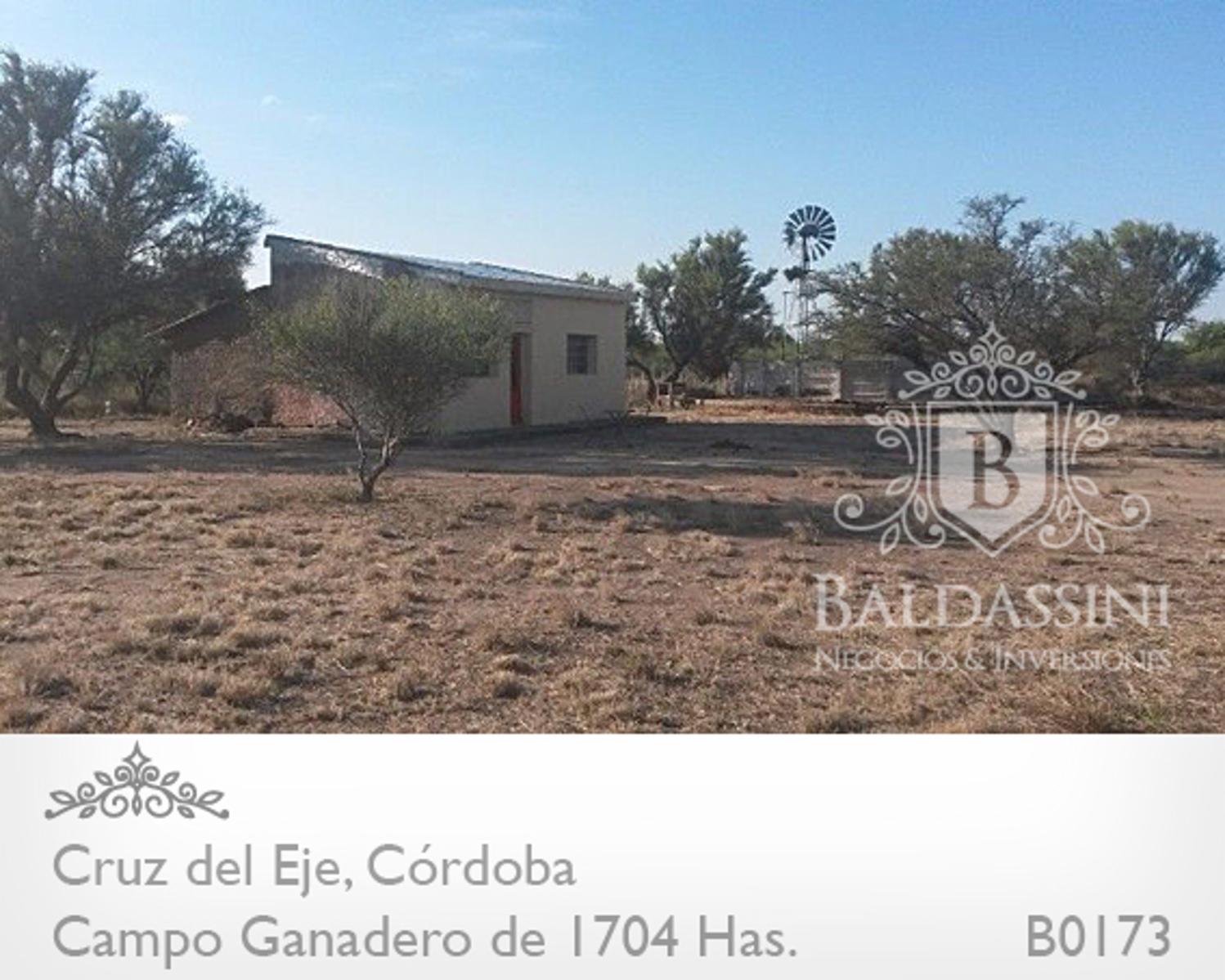 CAMPO GANADERO DE 1704 HAS EN SERREZUELA, CRUZ DEL EJE, CÓRDOBA COMPLETAMENTE ARMADO. PEGADO AL PUEBLO SOBRE RUTA 38. - 3