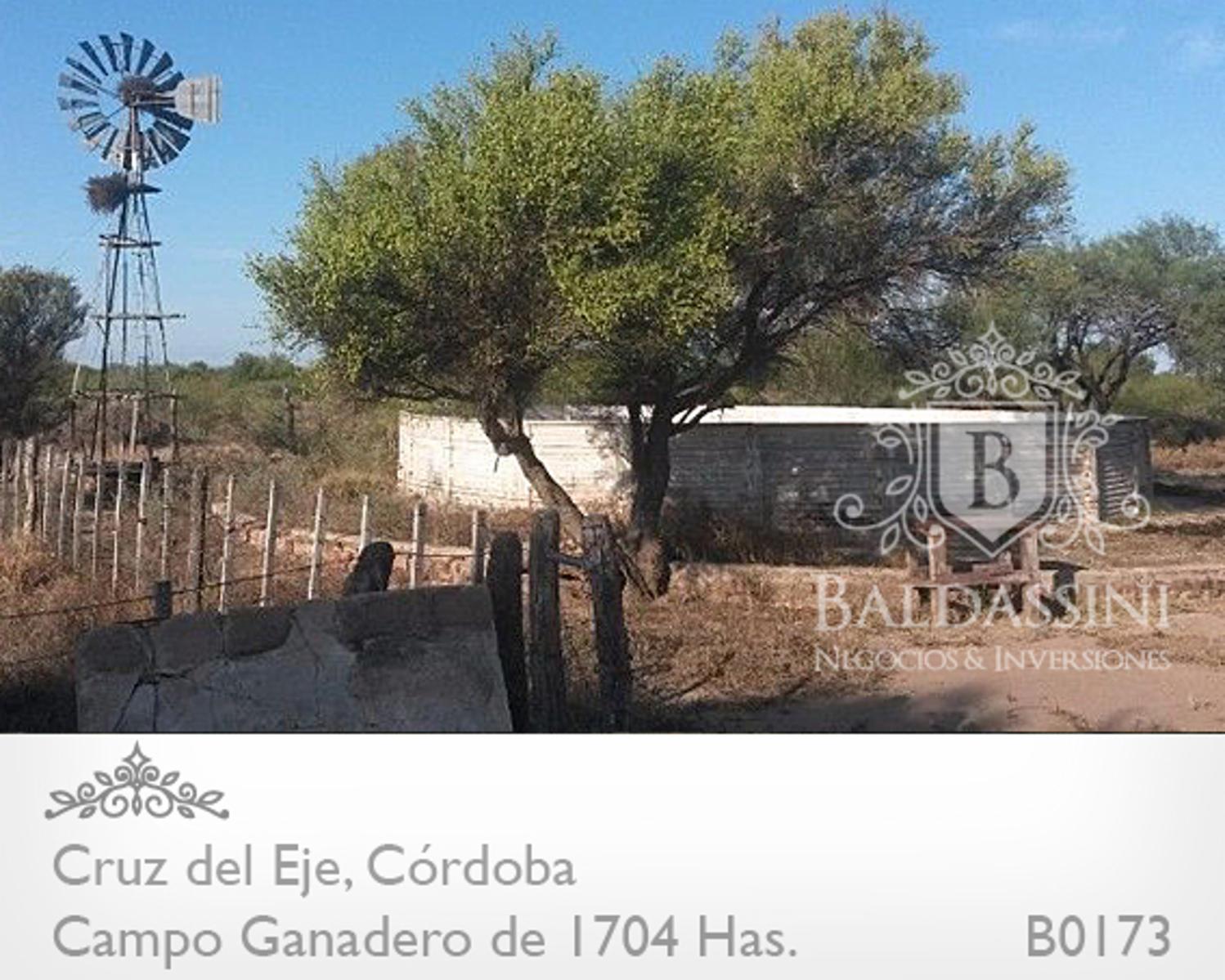 CAMPO GANADERO DE 1704 HAS EN SERREZUELA, CRUZ DEL EJE, CÓRDOBA COMPLETAMENTE ARMADO. PEGADO AL PUEBLO SOBRE RUTA 38. - 4