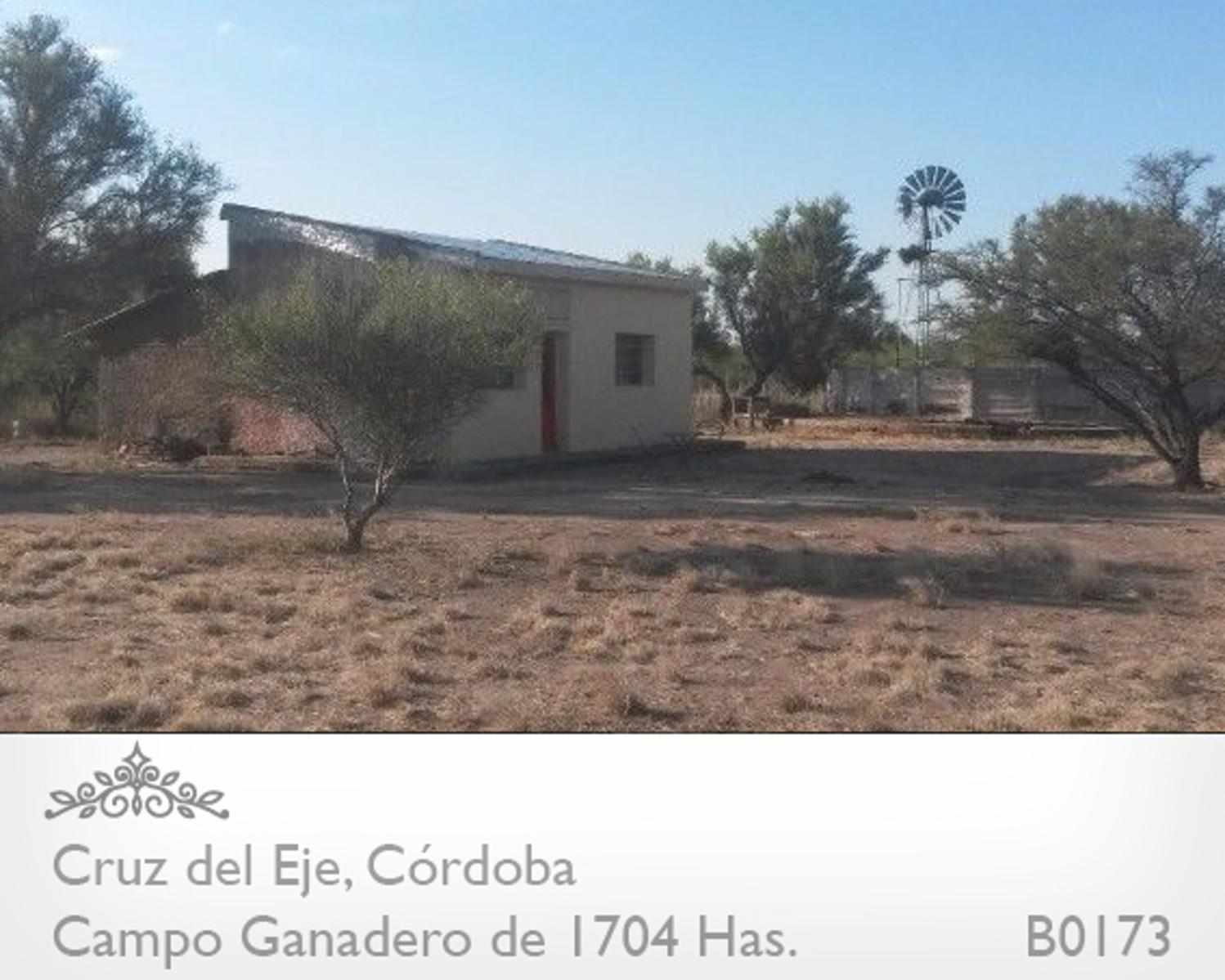 CAMPO GANADERO DE 1704 HAS EN SERREZUELA, CRUZ DEL EJE, CÓRDOBA COMPLETAMENTE ARMADO. PEGADO AL PUEBLO SOBRE RUTA 38. - 5