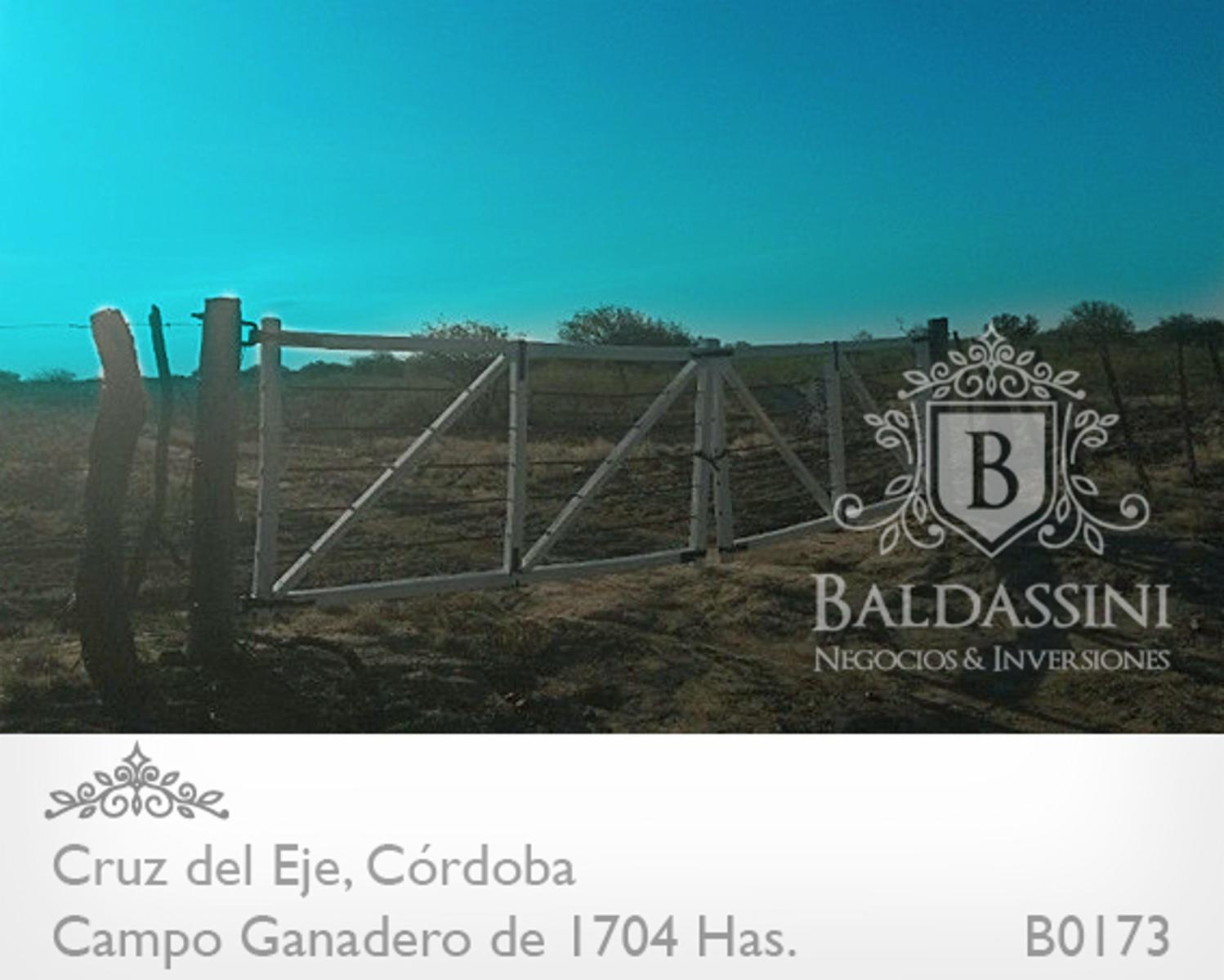 CAMPO GANADERO DE 1704 HAS EN SERREZUELA, CRUZ DEL EJE, CÓRDOBA COMPLETAMENTE ARMADO. PEGADO AL PUEBLO SOBRE RUTA 38. - 6