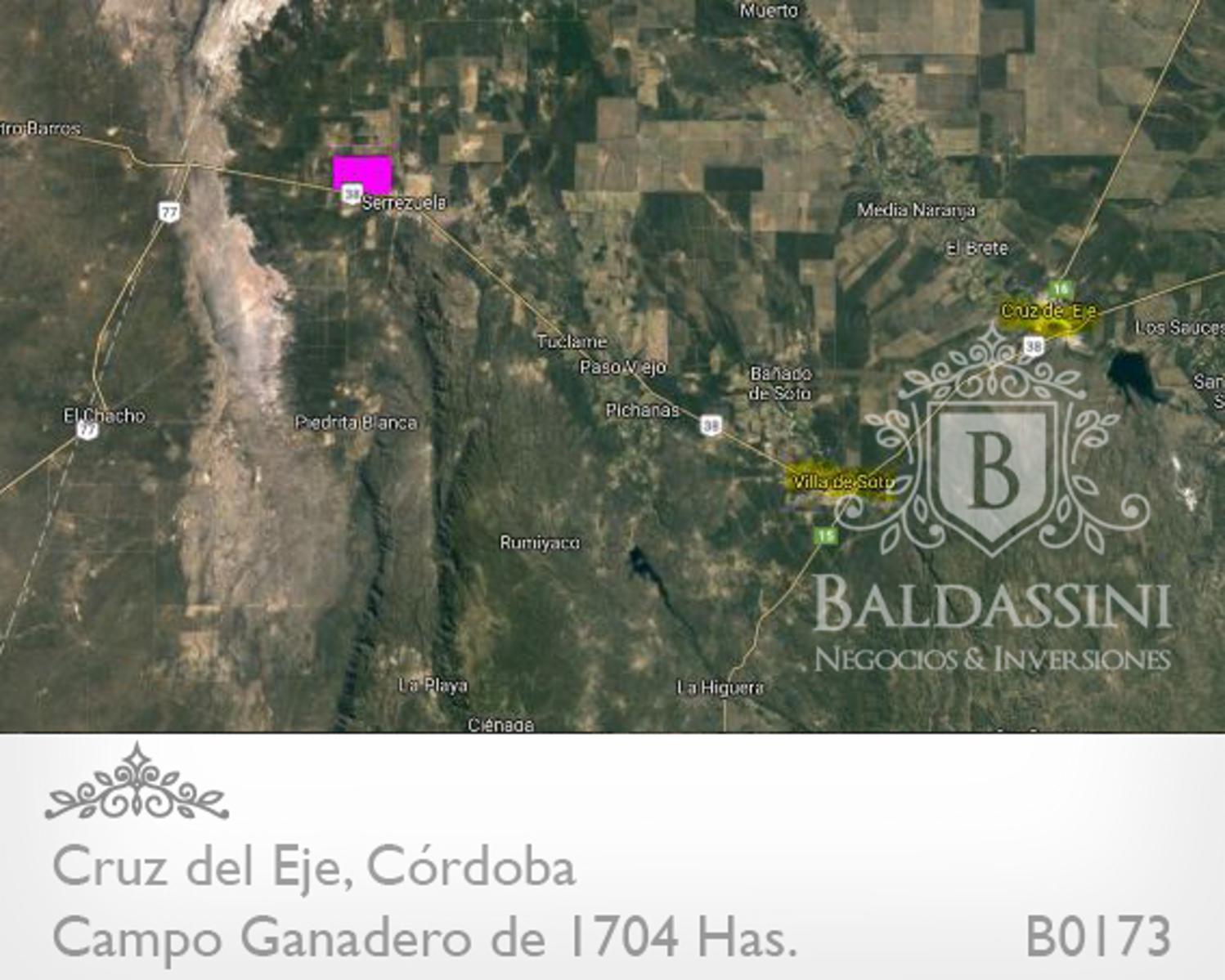 CAMPO GANADERO DE 1704 HAS EN SERREZUELA, CRUZ DEL EJE, CÓRDOBA COMPLETAMENTE ARMADO. PEGADO AL PUEBLO SOBRE RUTA 38. - 7