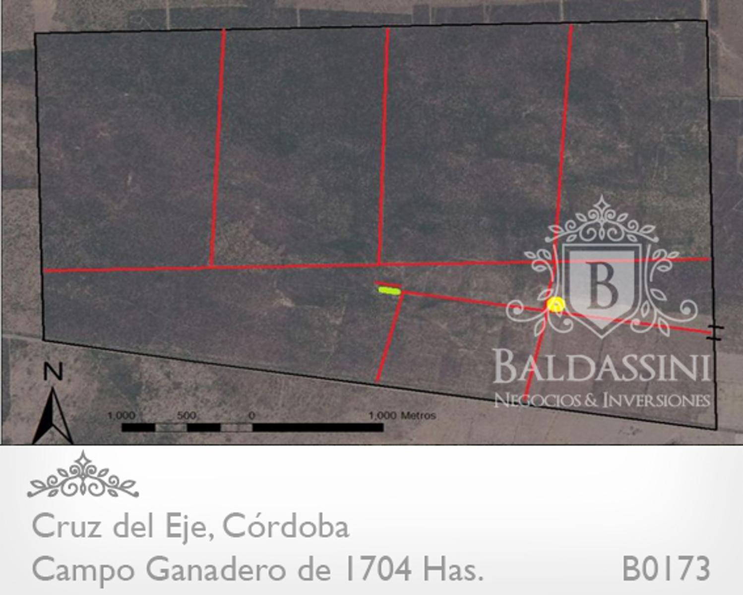 CAMPO GANADERO DE 1704 HAS EN SERREZUELA, CRUZ DEL EJE, CÓRDOBA COMPLETAMENTE ARMADO. PEGADO AL PUEBLO SOBRE RUTA 38. - 8