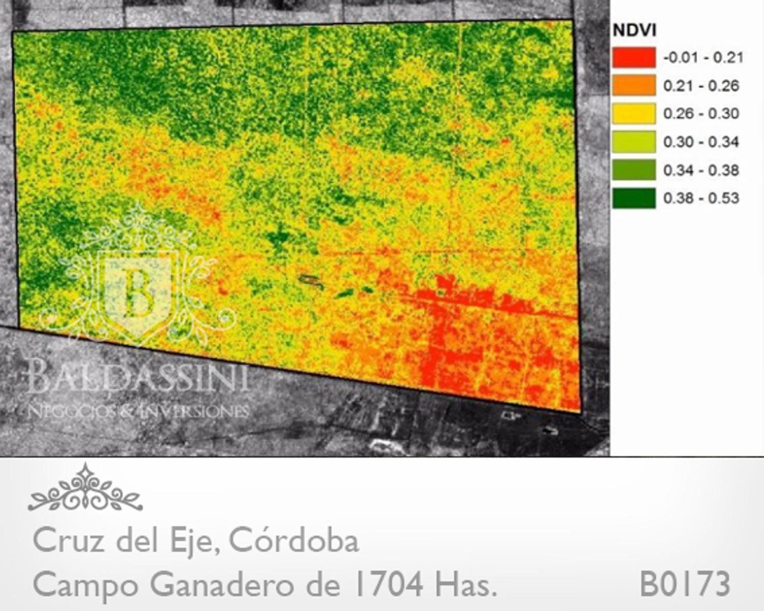 CAMPO GANADERO DE 1704 HAS EN SERREZUELA, CRUZ DEL EJE, CÓRDOBA COMPLETAMENTE ARMADO. PEGADO AL PUEBLO SOBRE RUTA 38. - 9